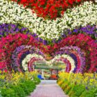 dubai miracle garden