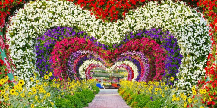 dubai miracle garden