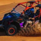 Mleiha Landscapes Tour in Dune Buggy