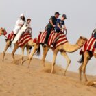 Premium Red Dunes Safari with Camel Ride & 3 Cuisines at Al Khayma Camp