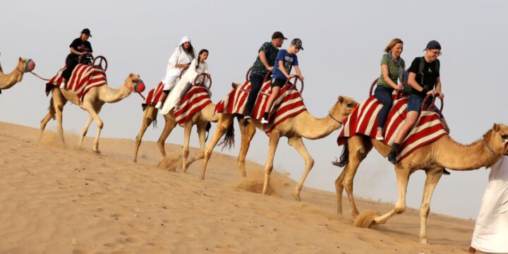 Premium Red Dunes Safari with Camel Ride & 3 Cuisines at Al Khayma Camp