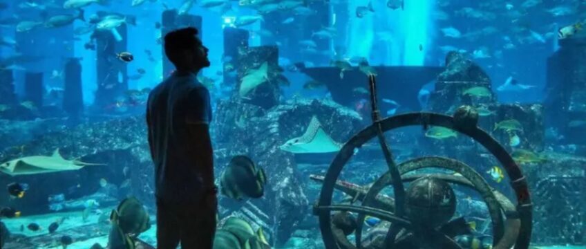 the lost chambers aquarium