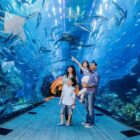 dubai aquarium