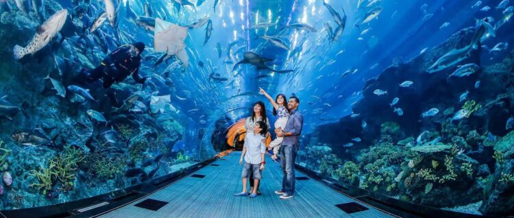 dubai aquarium