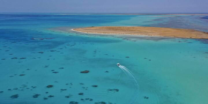 Bayada Daily Trips (Maldives of Jeddah)