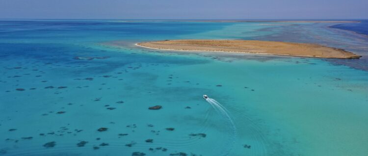 Bayada Daily Trips (Maldives of Jeddah)