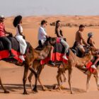 Camel Ride in Dubai