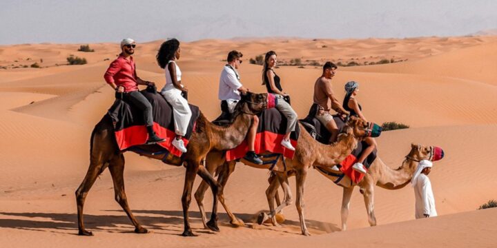 Camel Ride in Dubai