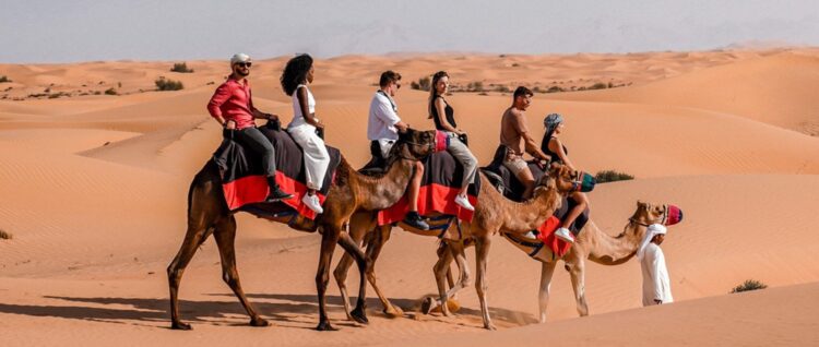 Camel Ride in Dubai