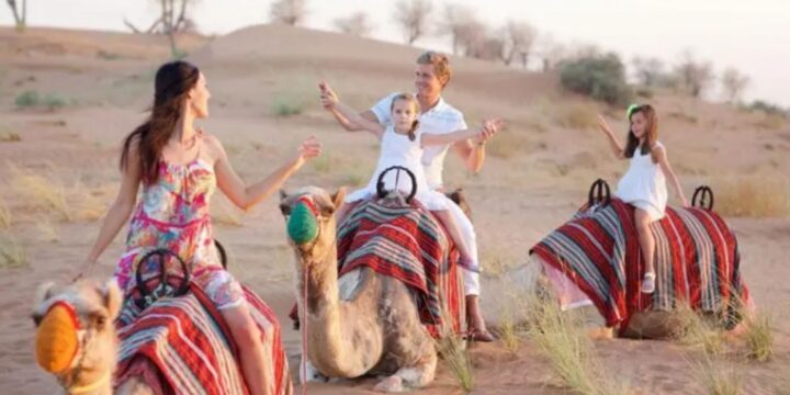 Camel Trekking in Ras Al Khaimah Tours