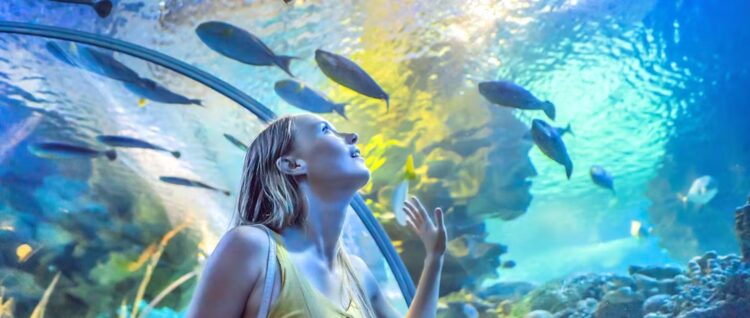 Dubai Aquarium & Underwater Zoo