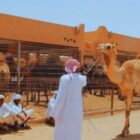 Al Ain City Tours